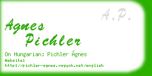 agnes pichler business card